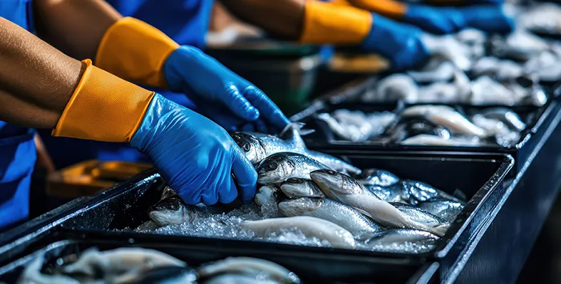 Aquatic foods play a vital role in providing high-quality protein and essential nutrients needed to combat malnutrition. Image_of_fish