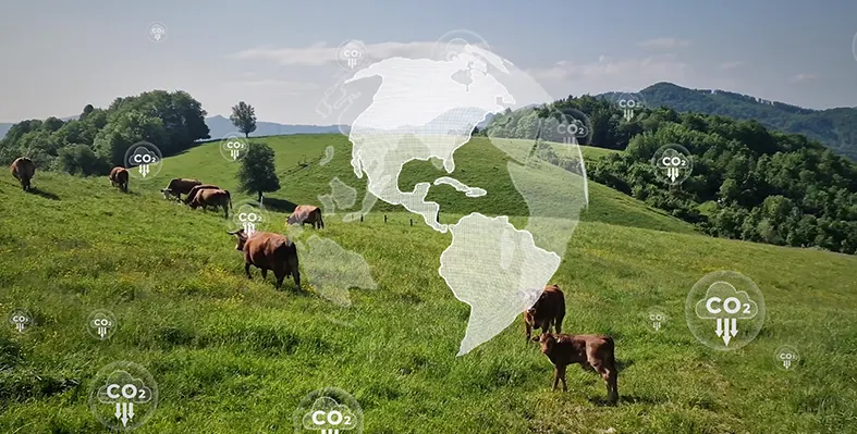 9th edition of the GGAA is co-hosted by the International Livestock Research Institute (ILRI) Image_of_GGAA