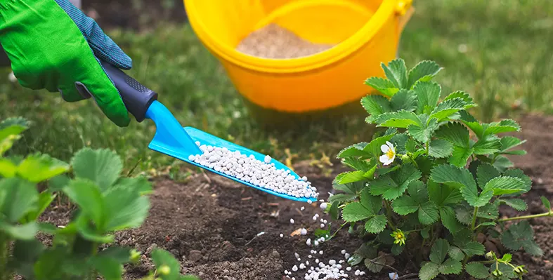 Farmers across Nigeria are raising alarms over the government’s newly introduced Presidential Fertilizer Initiative (PFI). Image_of_fertilizer