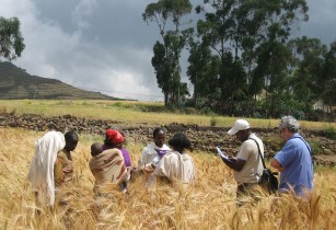 Africa’s food and agriculture will rise to US$1tn by 2030, says AfDB president