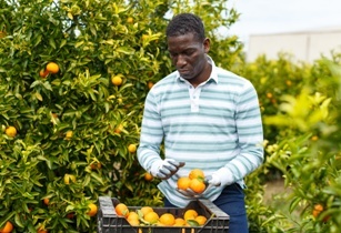 FAO proposes dialogue between private sector operators to achieve SDGs