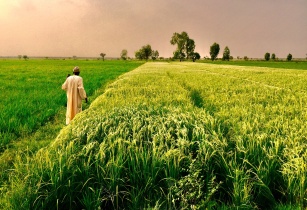 AfDB approves US$127mn package to open up agricultural areas in Niger