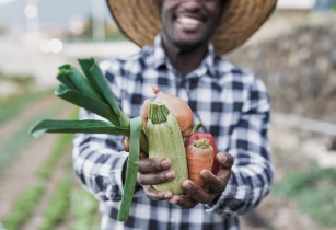 Tanzania implements strategy to boost organic farming in the country