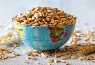 EBRD and FAO celebrate 25 years of joint efforts towards sustainable agrifood systems