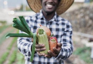 Youth in Western Bahr-El-Ghazal urged to take up farming