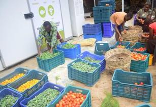 UN Announces SMSE winners in Africa and the Middle East