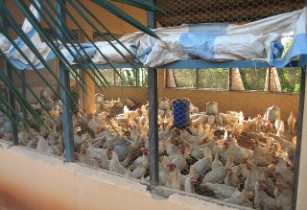 Ghana-Hungary partnership to boost agricultural production