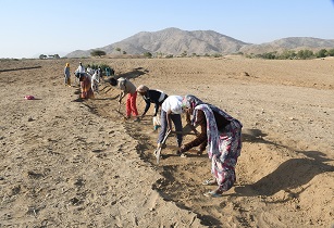 Ambassador Abdella Musa calls for integrated soil and water conservation in Eritrea