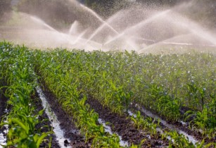 World Bank provides US$200mn to strengthen irrigation services in the Logone River Valley