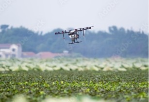 Future forward: Driving agricultural innovation