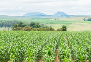 World Sustainability Organization chooses Zambia as the first African Sustainability Hub