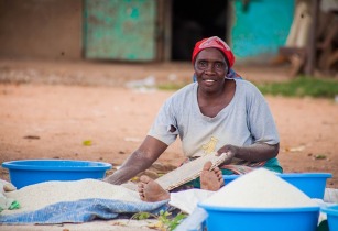 FAO develops four-year agri-based livelihoods strategy in Tanzania