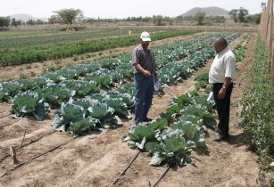 micro irrigation