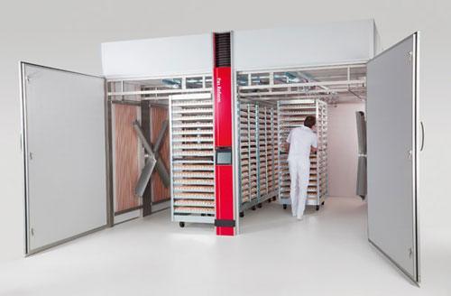 Smart hatchery fuels growth for Namibia's poultry industry