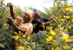 women agri af