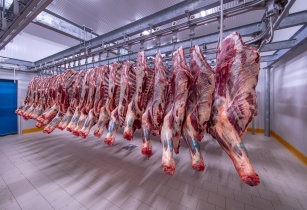 zoonotic disease 18 feb